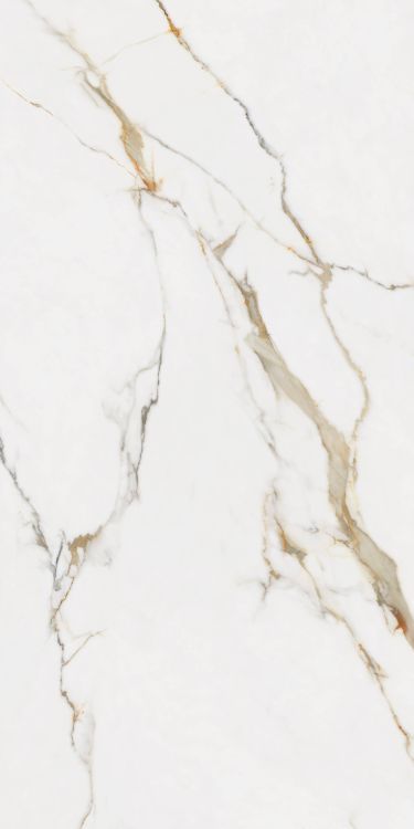 Time Dorado Matte 24 x 48